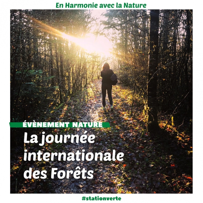 Événement nature dans les Stations Vertes : la Journée internationale des forêts