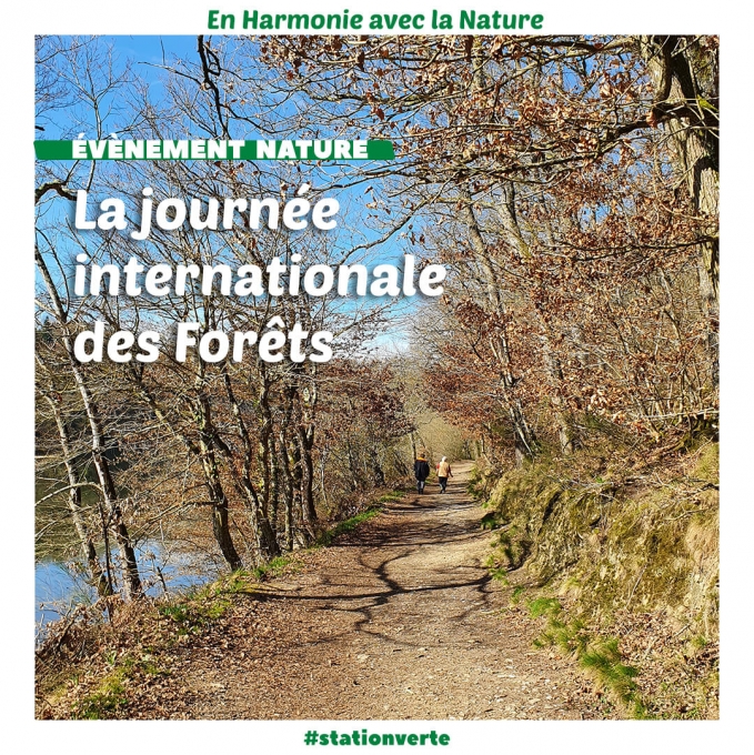 Forêt de Mervent-Vouvant © Office de Tourisme Fontenay-Vendée