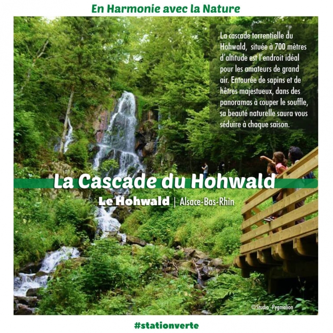 À 700 mètres d’altitude, la cascade torrentielle du Hohwald en Alsace