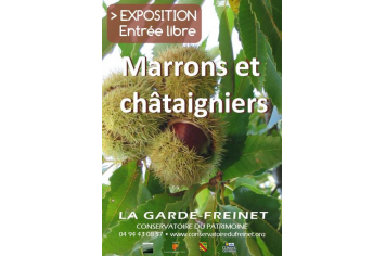 Exposition 'Marrons et châtaigniers'