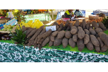 Marché de Bourail 