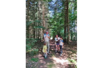 Bain de forêt