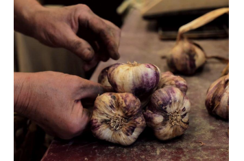 La fête du terroir en Hauts Tolosans